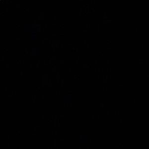 Meet your Posher, Timothy